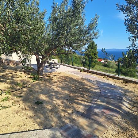 Holiday Home Vineyard House Bol Exterior foto