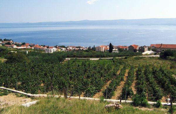 Holiday Home Vineyard House Bol Exterior foto